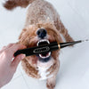 Afbeelding laden in Galerijviewer, PetDental Kit™ - Tandsteenverwijderaar voor honden