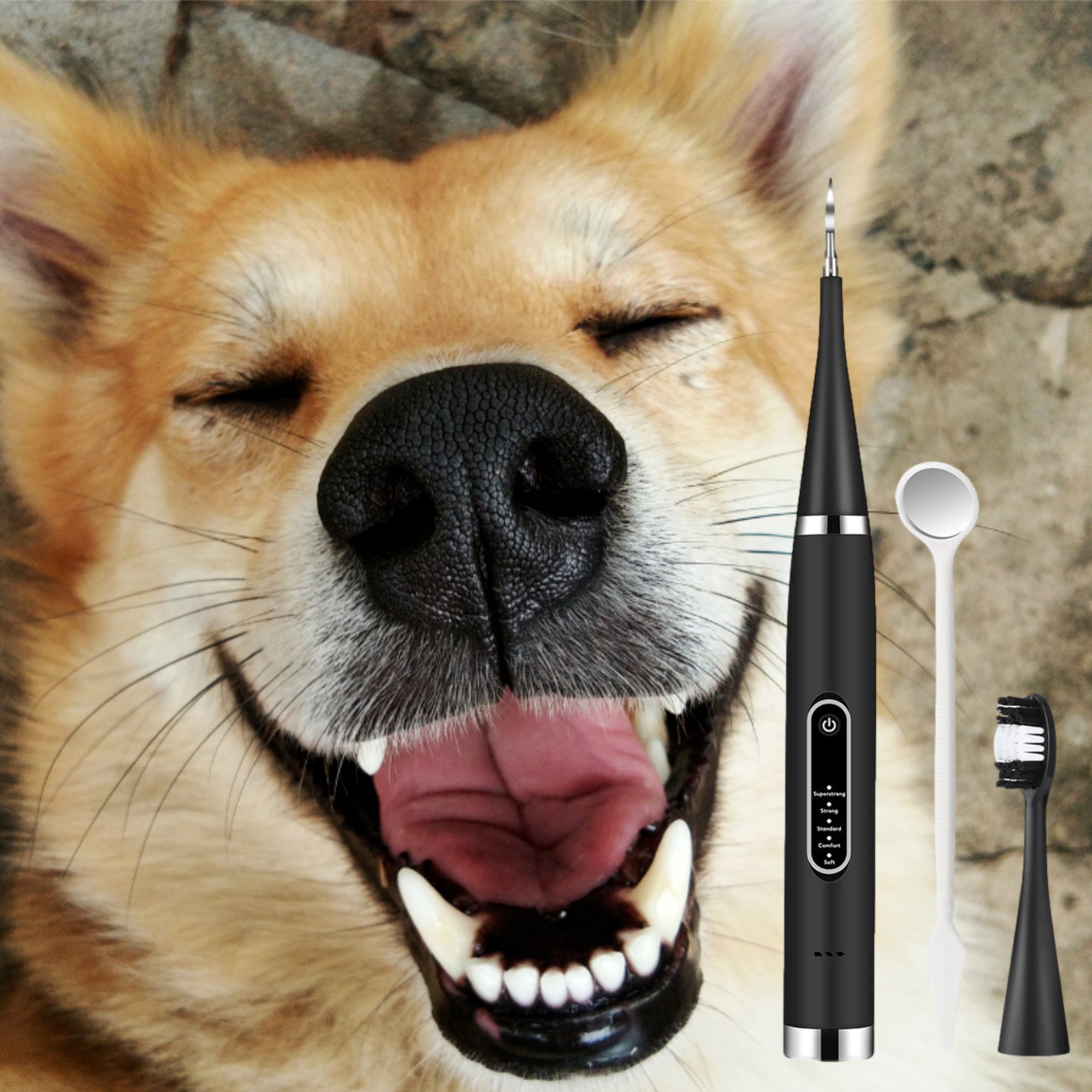 PetDental Kit™ - Tandsteenverwijderaar voor honden